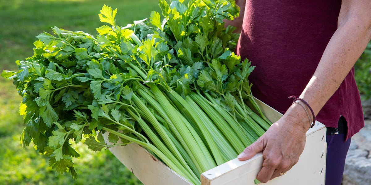 Yes, You Can Freeze Celery. Here's How.